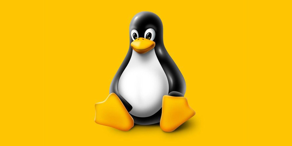 Think You're A Linux Master? Find Out With This Linux Quiz!