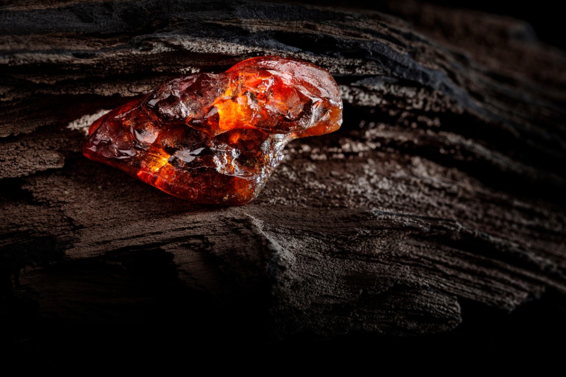 Amber: Uncovering the Golden Secrets of Fossilized Resin - A Science Quiz