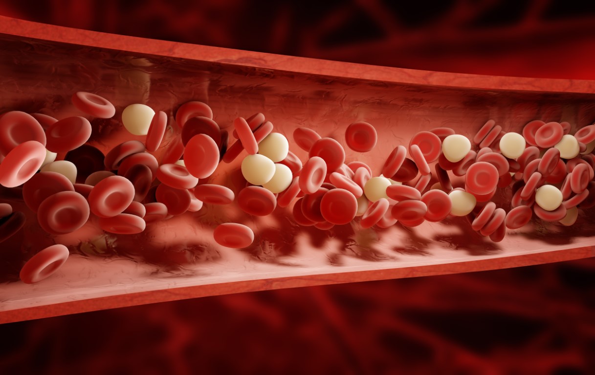 Cell-ebrating the Wonders of Life: A Quiz on Cellular Biology