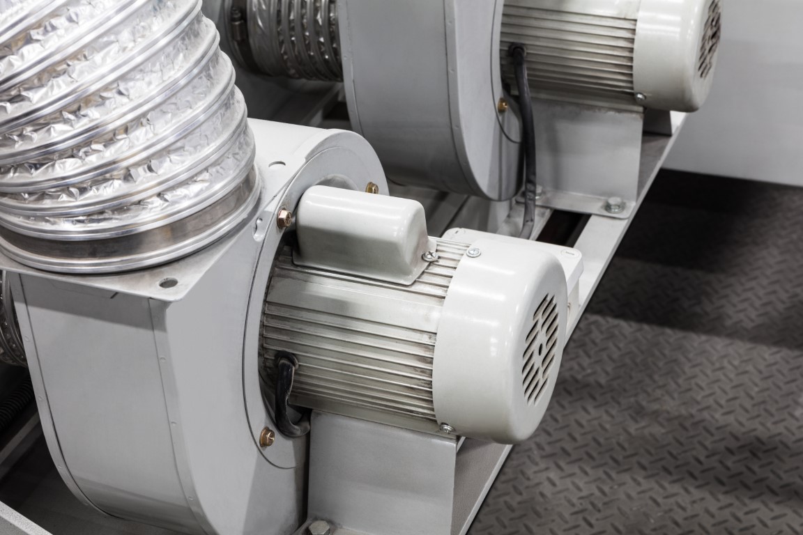 Exploring Damping: A Quiz on Oscillations and Energy Dissipation