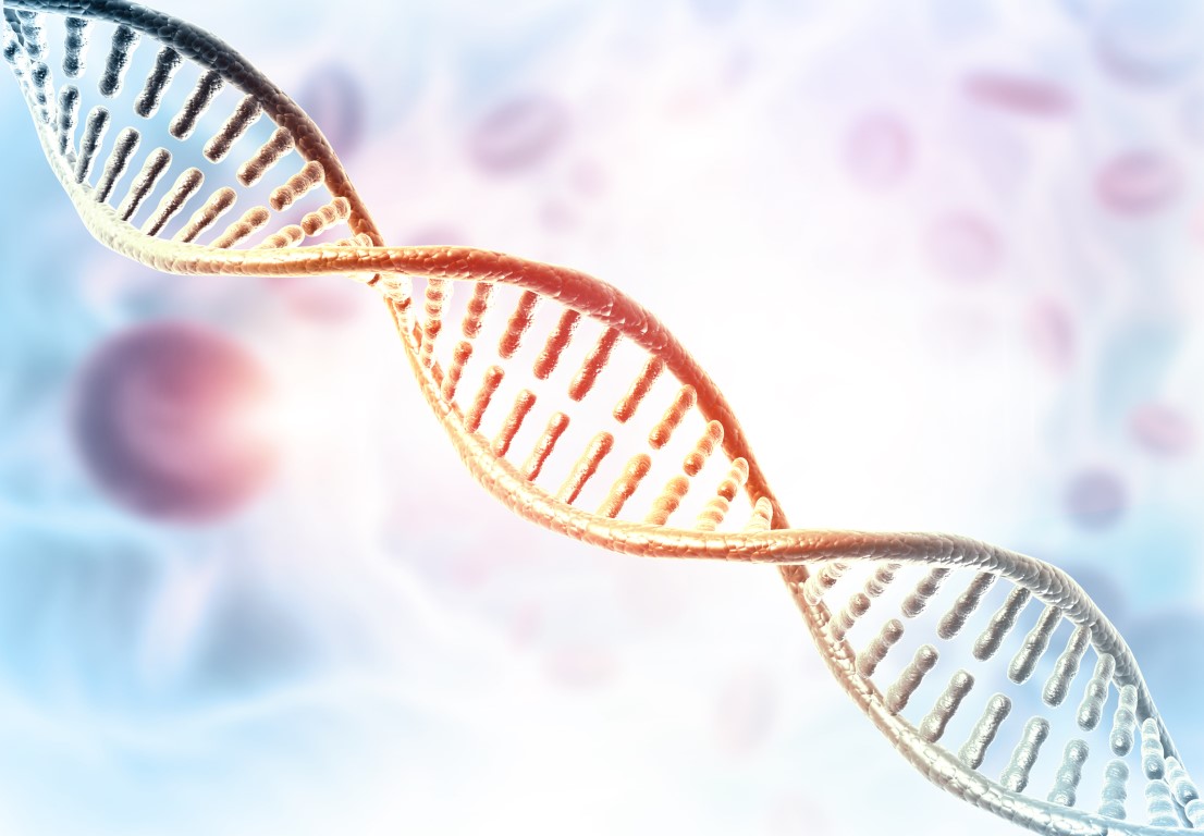 Gene Genius: A Quiz on Genetic Wonders
