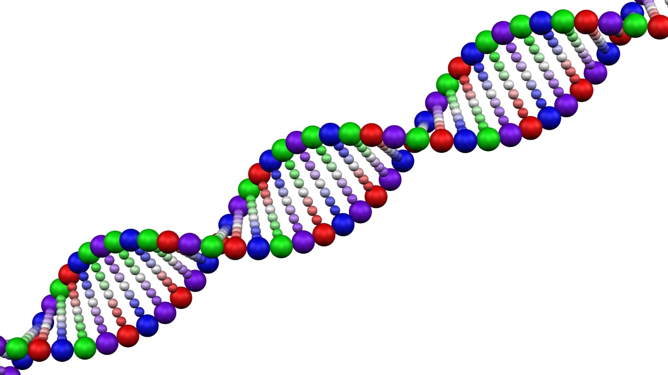 Exploring the Gene Pool: A Quiz on Genetic Diversity and Inheritance