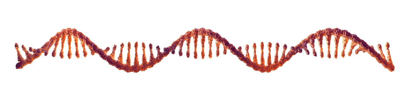 Unlocking the Secrets of Genetic Code: A Biology Quiz