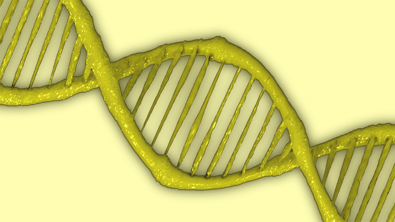 Unlocking the Secrets of Heredity: A Genetics Quiz