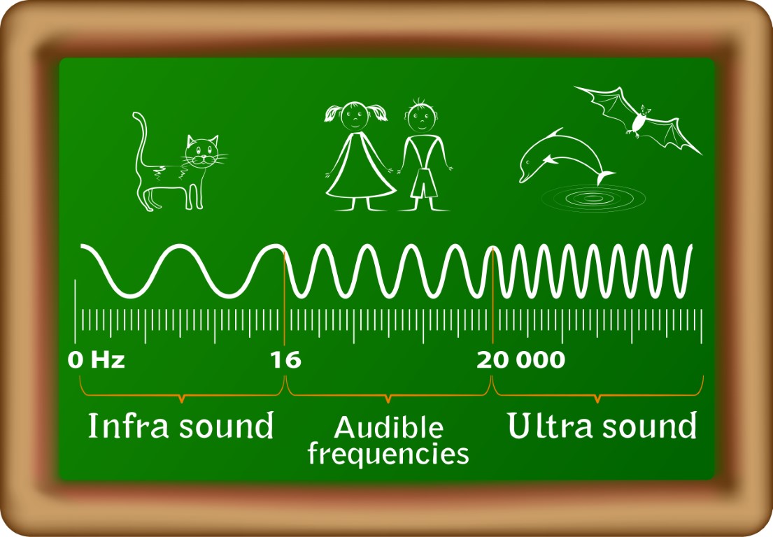 Infrasound: Unveiling the Secrets of Low-frequency Waves - A Quiz