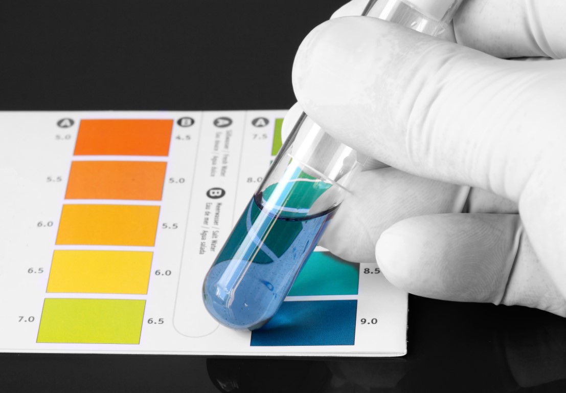 Mastering the pH Scale: Acids, Bases, and Neutral Solutions Quiz