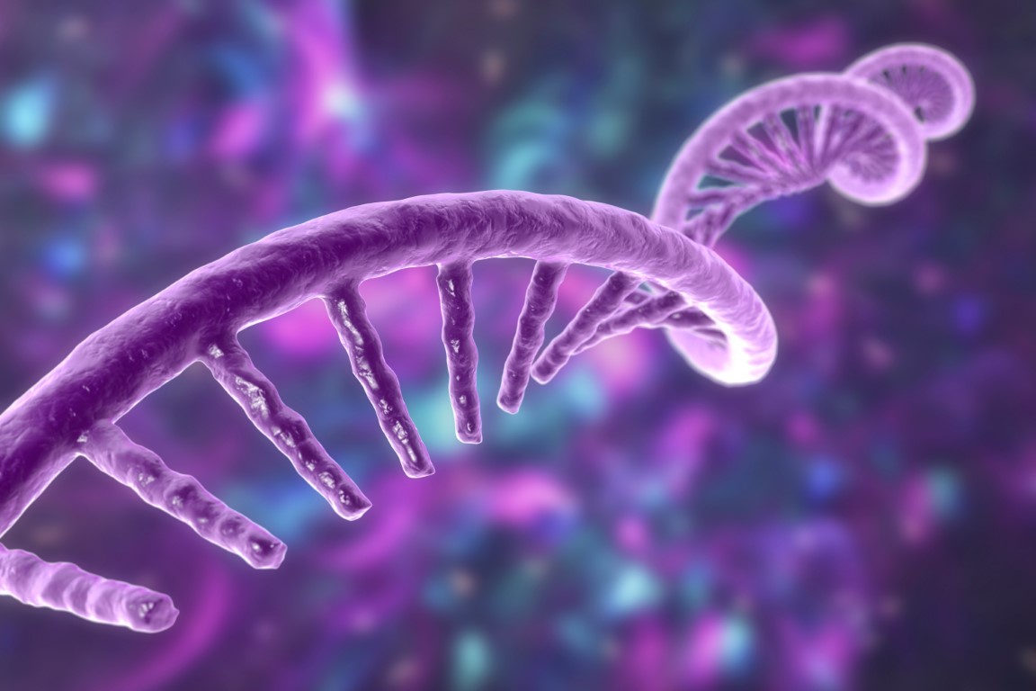 Cracking the RNA Code: A Quiz on Ribonucleic Acid Fundamentals