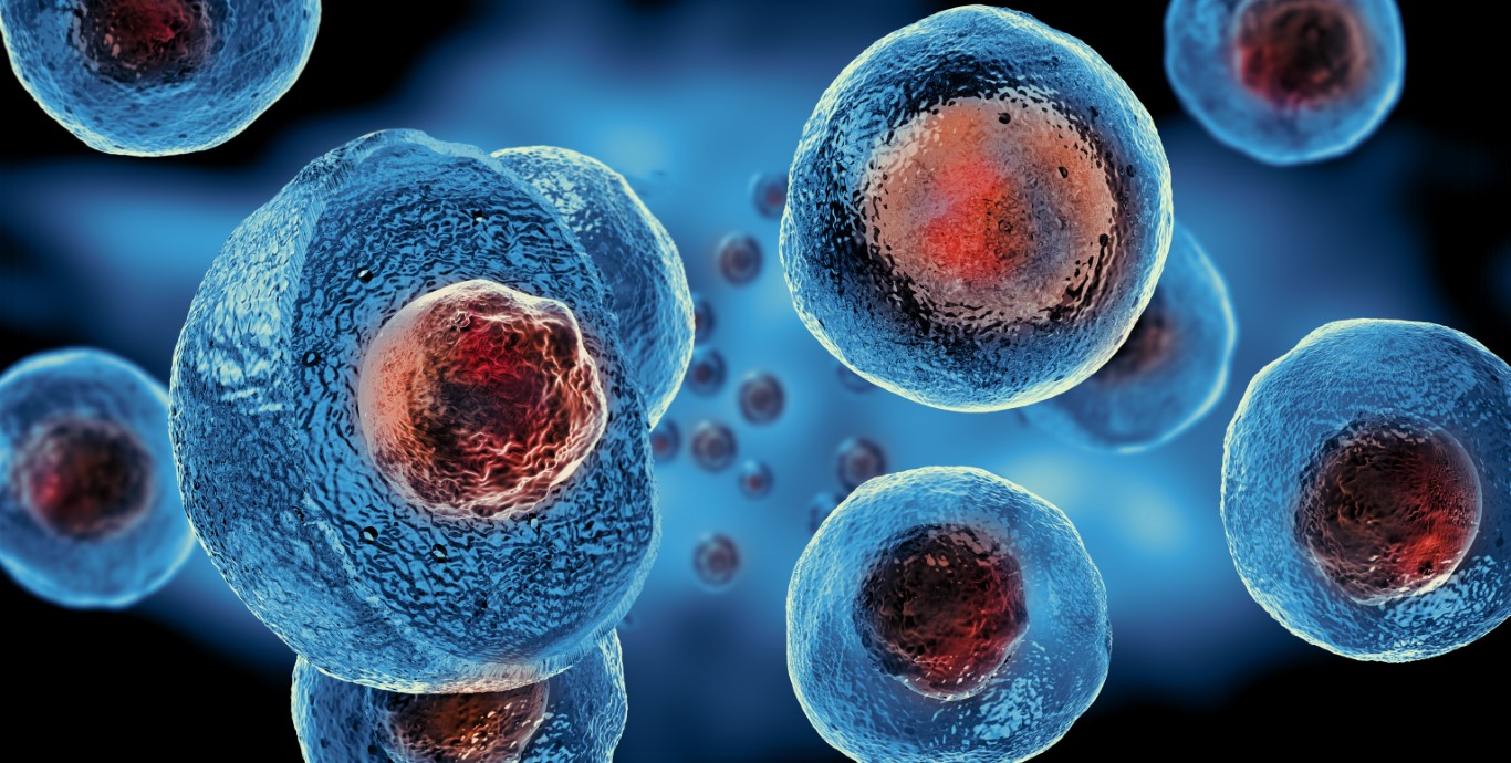 Stem Cell Wonders: A Quiz on the Potential and Applications of Stem Cells